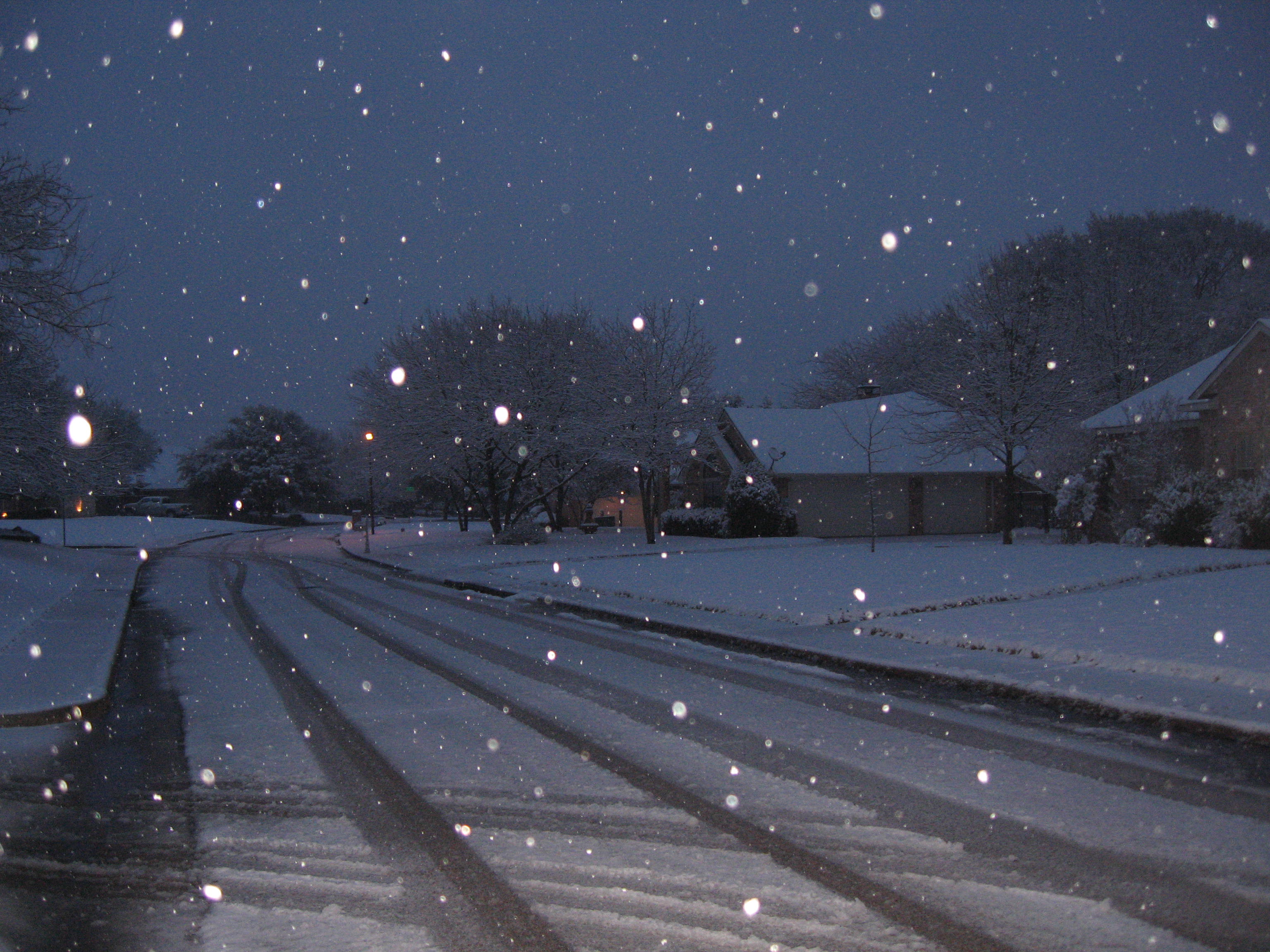 10.02.11 cedar hill snow scenes 004